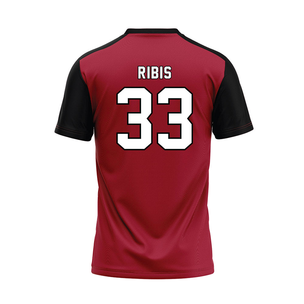 Lenoir Rhyne - NCAA Baseball : Michael Ribis - Replica Baseball Jersey-1