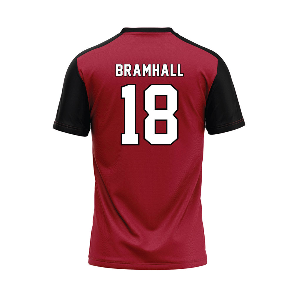 Lenoir Rhyne - NCAA Baseball : Cole Bramhall - Replica Baseball Jersey-1