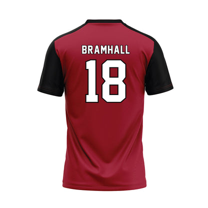 Lenoir Rhyne - NCAA Baseball : Cole Bramhall - Replica Baseball Jersey-1