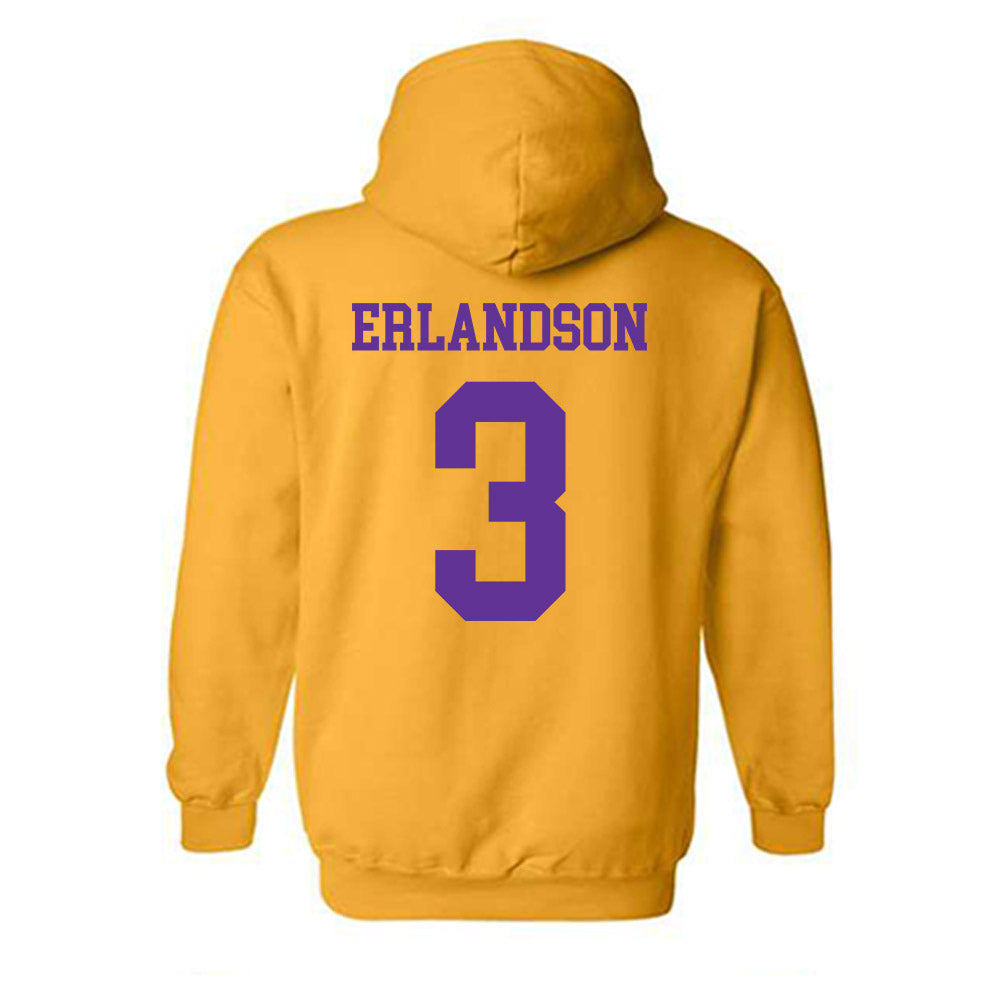 UWSP - NCAA Women's Volleyball : Tessa Erlandson - Hooded Sweatshirt-1
