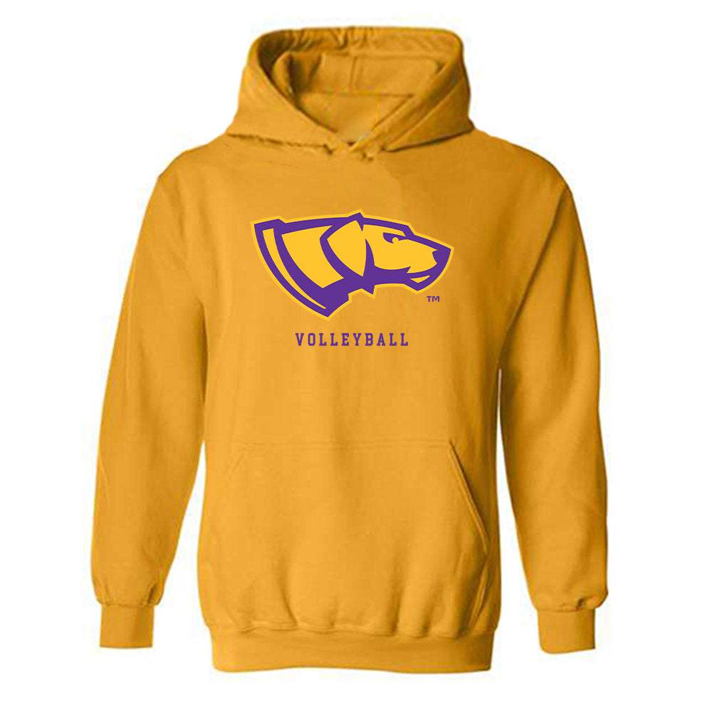 UWSP - NCAA Women's Volleyball : Tessa Erlandson - Hooded Sweatshirt-0