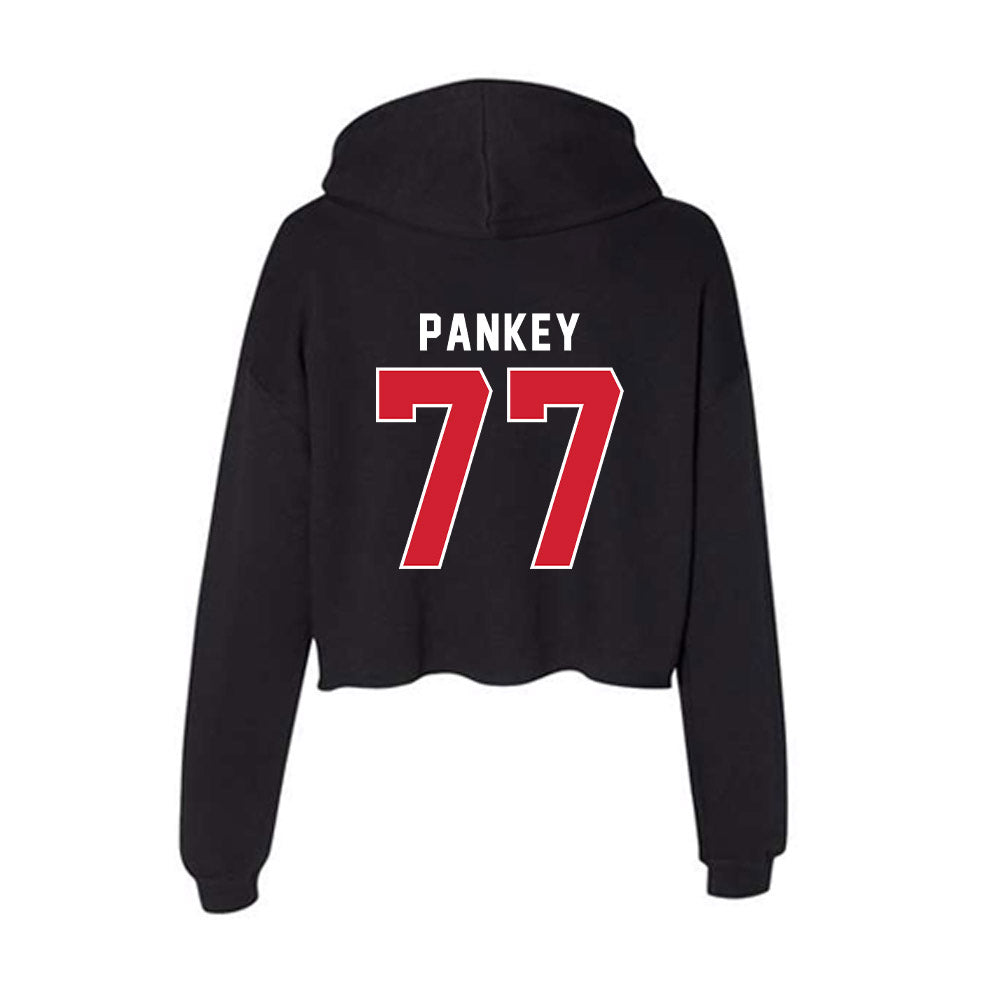 Illinois State - NCAA Football : Jace Pankey - Women's Crop Fleece Hoodie-1