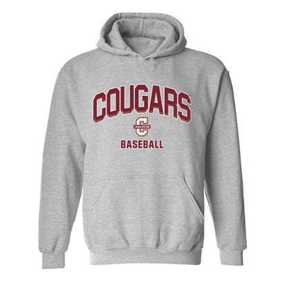 Charleston - NCAA Baseball : Chase Jarnagin - Hooded Sweatshirt-0