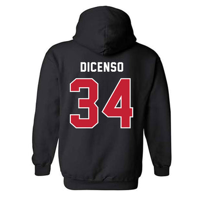 Richmond - NCAA Men's Lacrosse : Anthony DiCenso - Classic Shersey Hooded Sweatshirt-1
