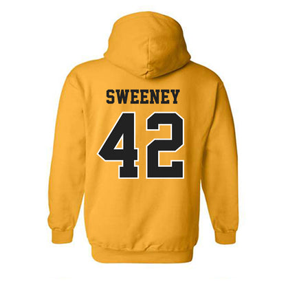 Wichita State - NCAA Baseball : MJ Sweeney - Hooded Sweatshirt-1