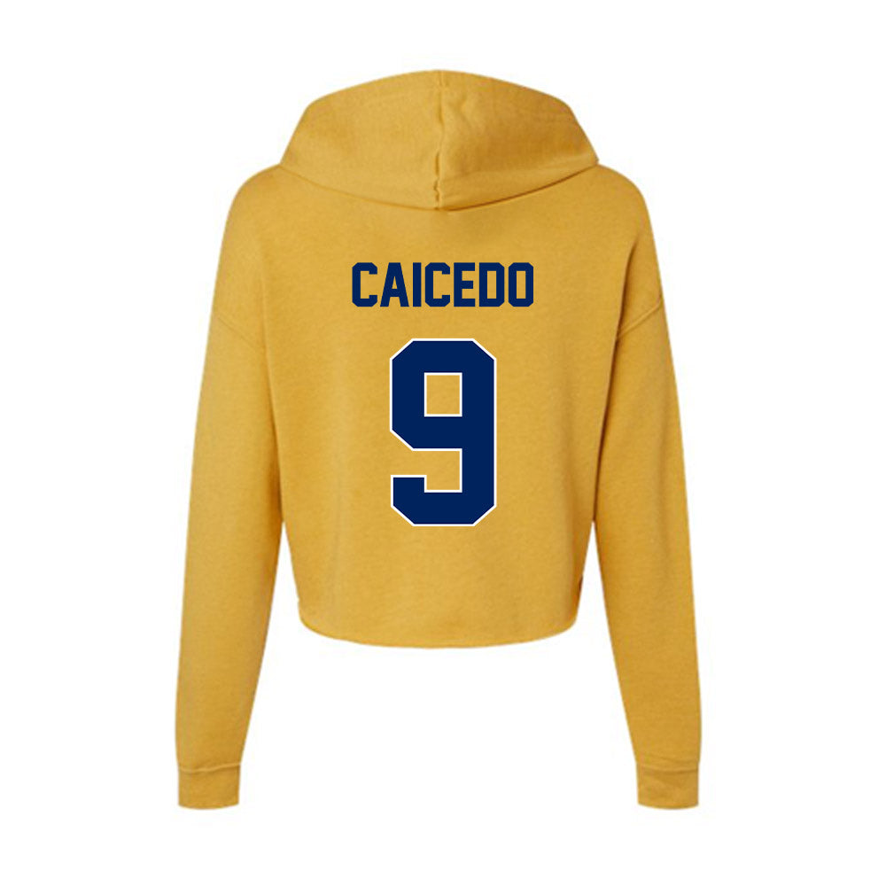 UW Eau Claire - NCAA Baseball : Diego Caicedo - Women's Crop Fleece Hoodie-1
