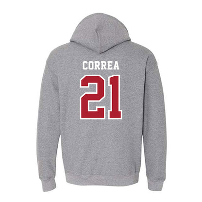 Stony Brook - NCAA Men's Lacrosse : Gary Correa - Classic Shersey Hooded Sweatshirt-1