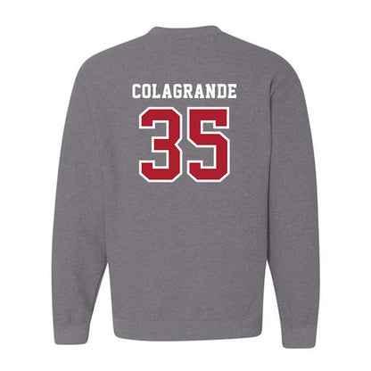 Stony Brook - NCAA Baseball : Aidan Colagrande - Classic Shersey Crewneck Sweatshirt-1