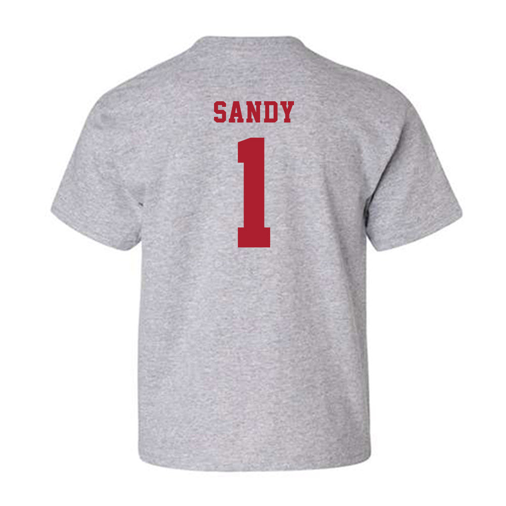 Stony Brook - NCAA Men's Soccer : Rushon Sandy - Youth T-Shirt-1