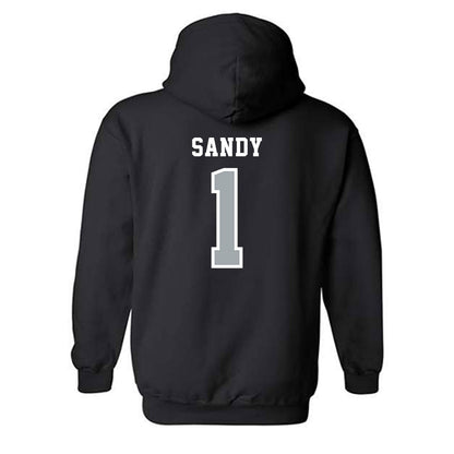 Stony Brook - NCAA Men's Soccer : Rushon Sandy - Classic Shersey Hooded Sweatshirt-1