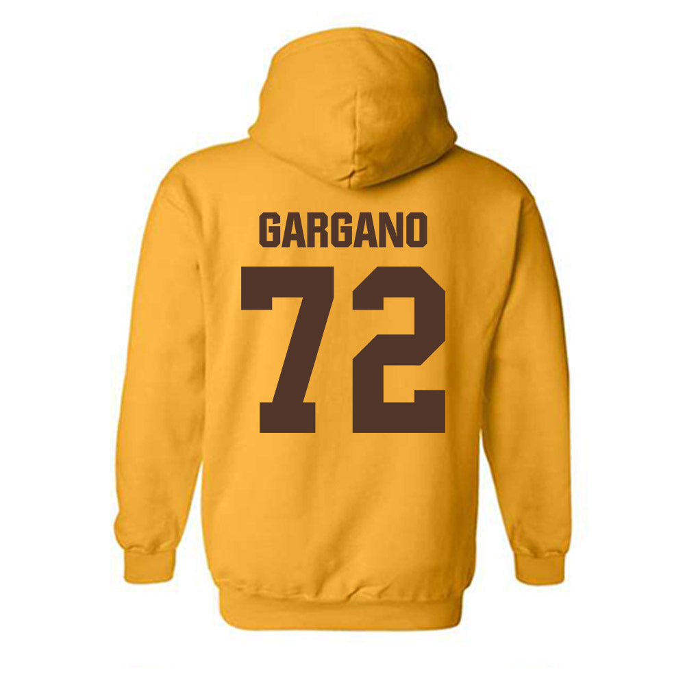 Valpo - NCAA Football : Noah Gargano - Classic Shersey Hooded Sweatshirt-1