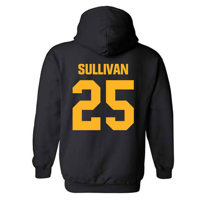 Valpo - NCAA Women's Basketball : Kayla Sullivan - Classic Shersey Hooded Sweatshirt-1