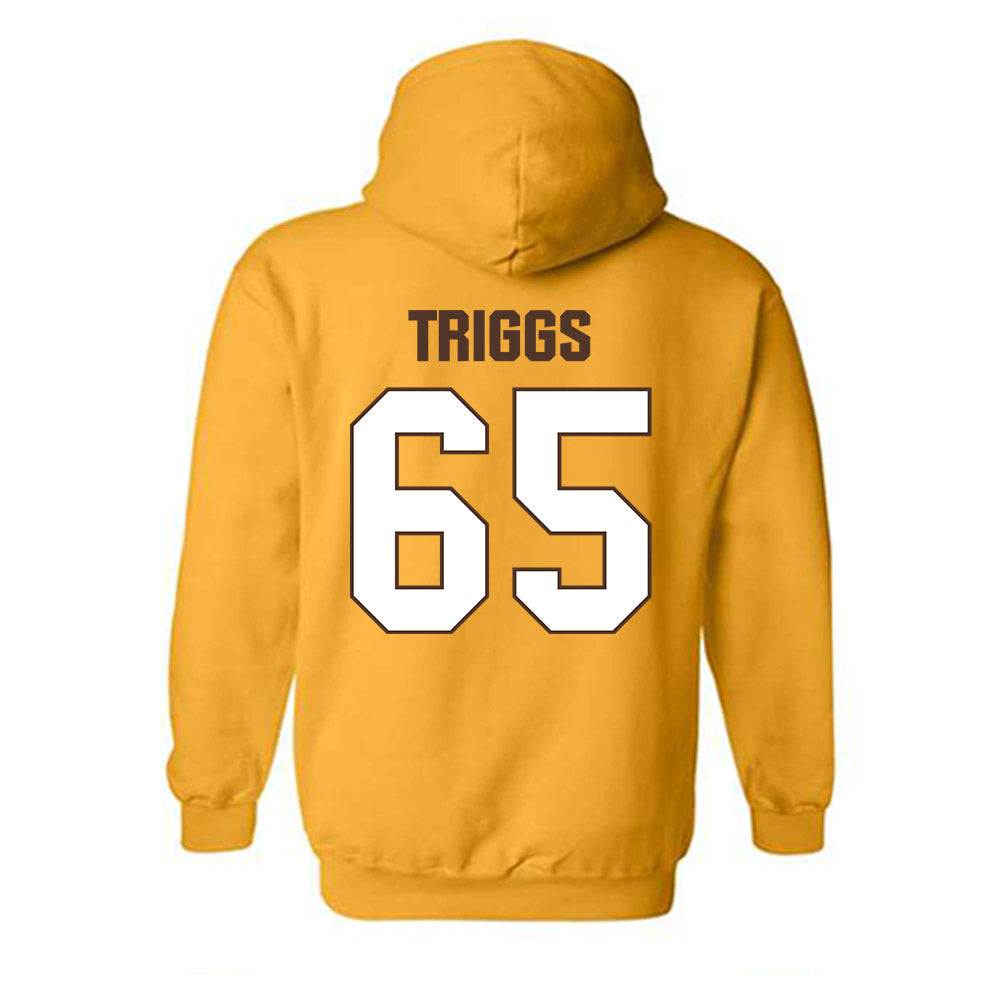 Valpo - NCAA Football : Evan Triggs - Classic Shersey Hooded Sweatshirt-1