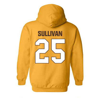 Valpo - NCAA Women's Basketball : Kayla Sullivan - Classic Shersey Hooded Sweatshirt-1