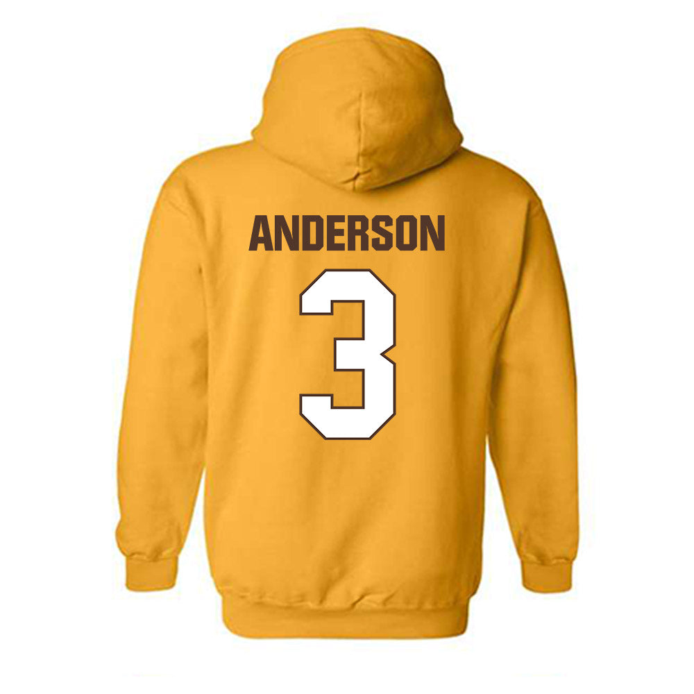 Valpo - NCAA Women's Basketball : Isabella Anderson - Classic Shersey Hooded Sweatshirt-1