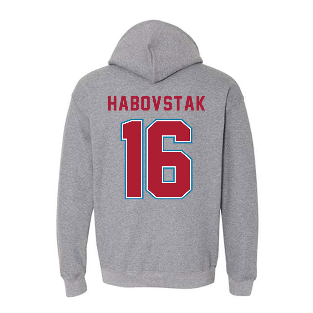 LMU - NCAA Men's Soccer : Mathew Habovstak - Hooded Sweatshirt-1