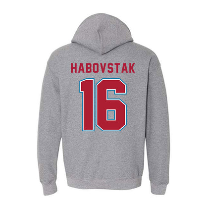 LMU - NCAA Men's Soccer : Mathew Habovstak - Hooded Sweatshirt-1