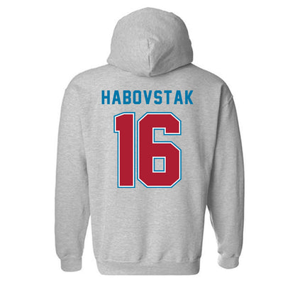 LMU - NCAA Men's Soccer : Mathew Habovstak - Classic Shersey Hooded Sweatshirt-1