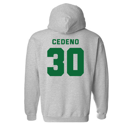 KYSU - NCAA Baseball : Somer Cedeno - Classic Shersey Hooded Sweatshirt-1