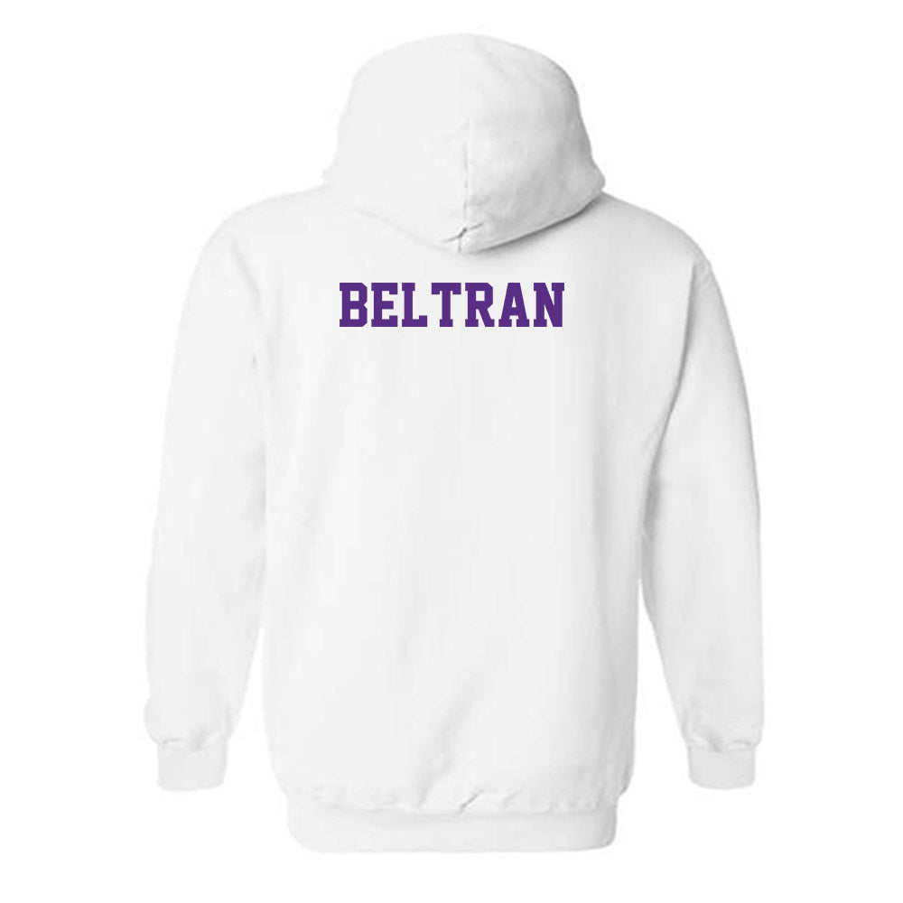 Stonehill - NCAA Women's Tennis : Anneliese Beltran - Classic Shersey Hooded Sweatshirt-1