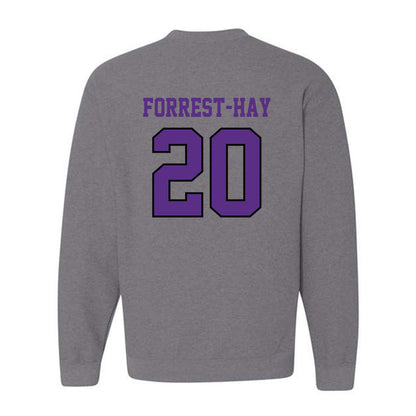 Stonehill - NCAA Men's Soccer : James Forrest-Hay - Classic Shersey Crewneck Sweatshirt-1