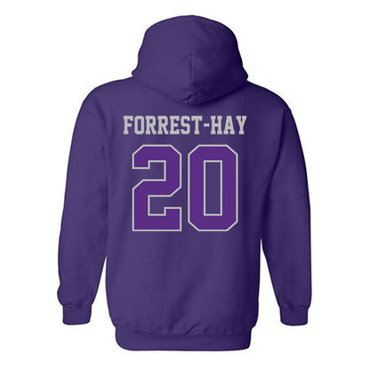 Stonehill - NCAA Men's Soccer : James Forrest-Hay - Classic Shersey Hooded Sweatshirt-1