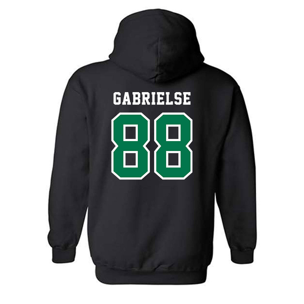 FGCU - NCAA Softball : Tegan Gabrielse - Classic Shersey Hooded Sweatshirt-1