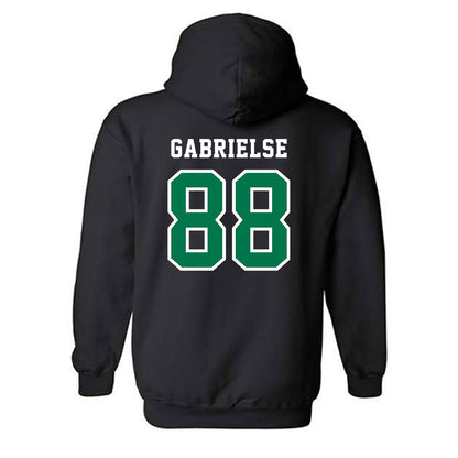FGCU - NCAA Softball : Tegan Gabrielse - Classic Shersey Hooded Sweatshirt-1