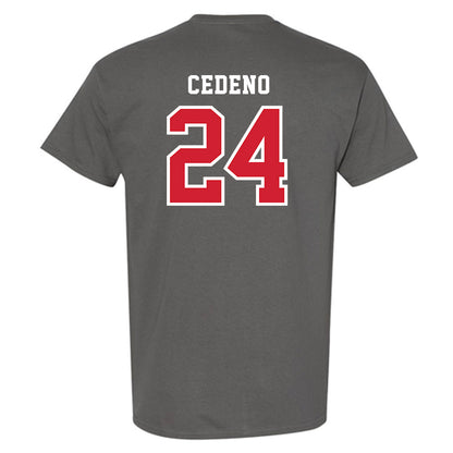 Marist - NCAA Baseball : Luis Cedeno - T-Shirt-1