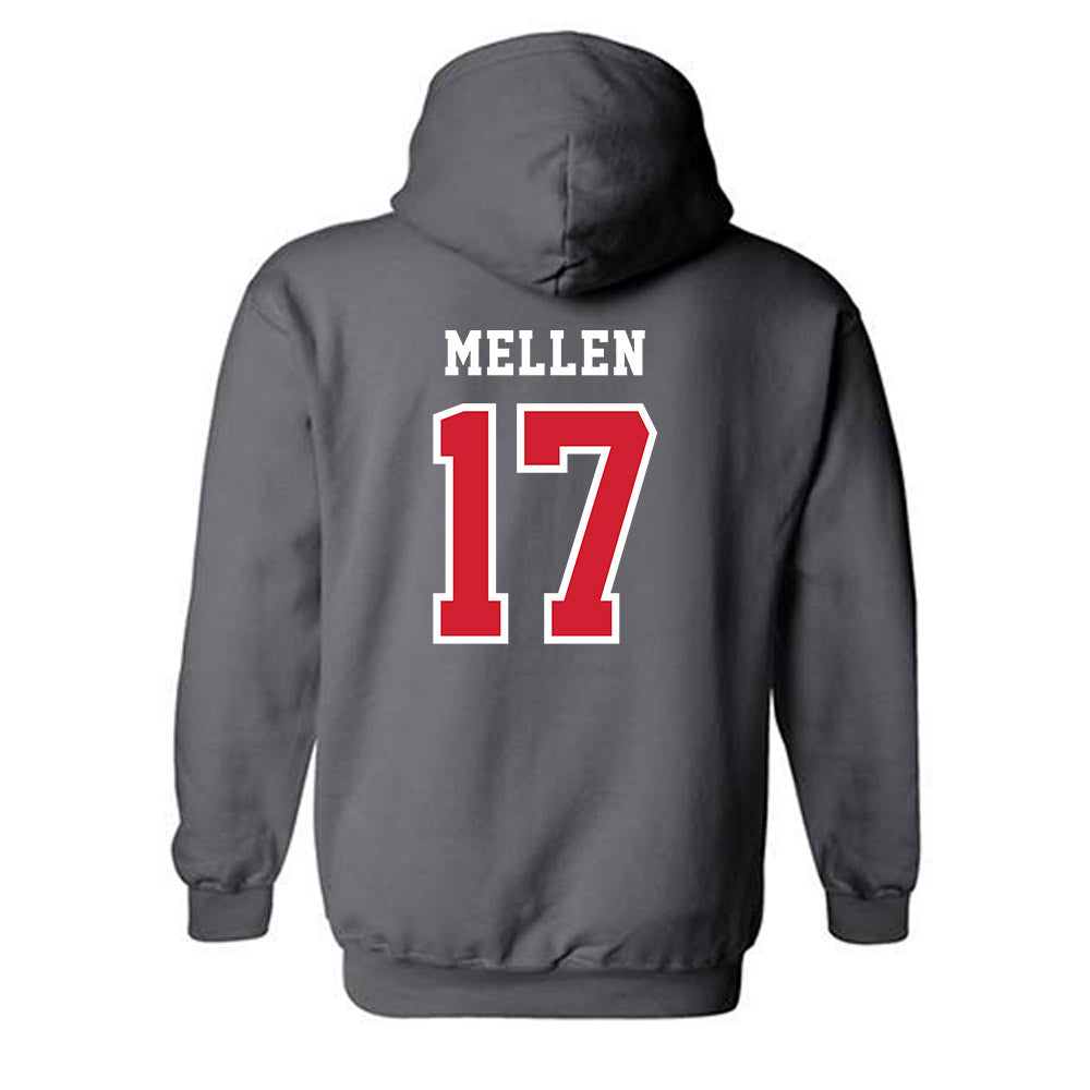 Marist - NCAA Men's Soccer : Noah Mellen - Hooded Sweatshirt-1