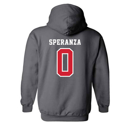 Marist - NCAA Baseball : Andrew Speranza - Hooded Sweatshirt-1