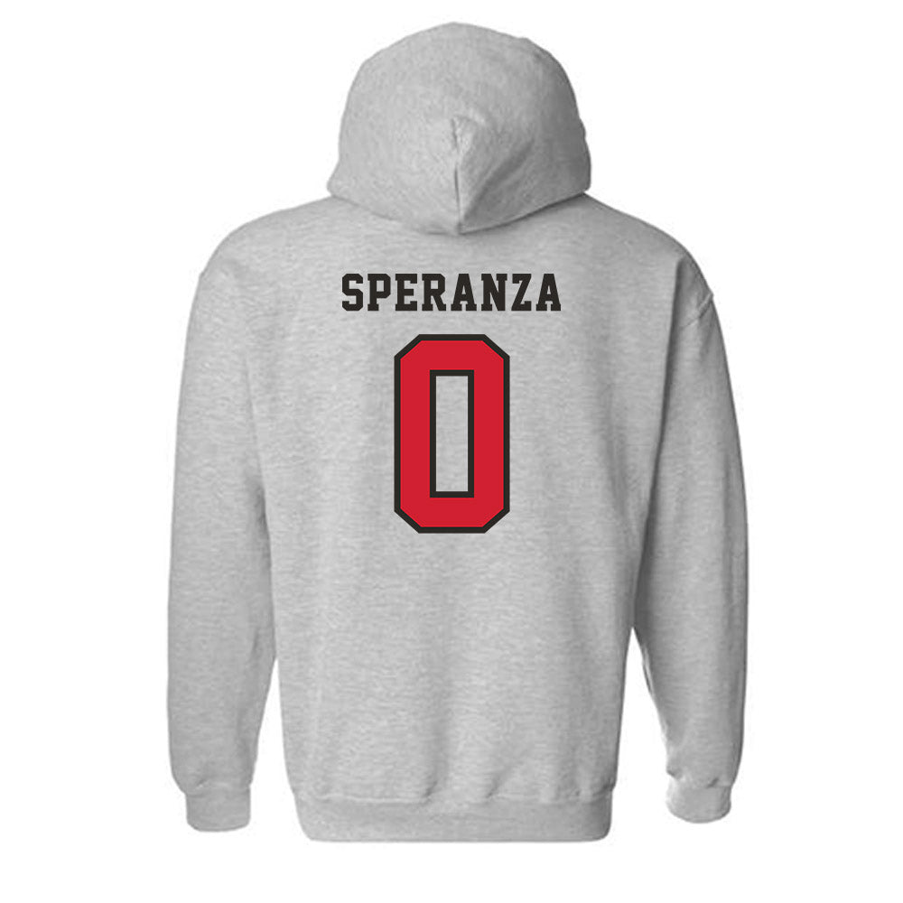 Marist - NCAA Baseball : Andrew Speranza - Classic Shersey Hooded Sweatshirt-1