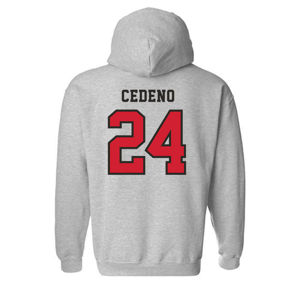 Marist - NCAA Baseball : Luis Cedeno - Classic Shersey Hooded Sweatshirt-1