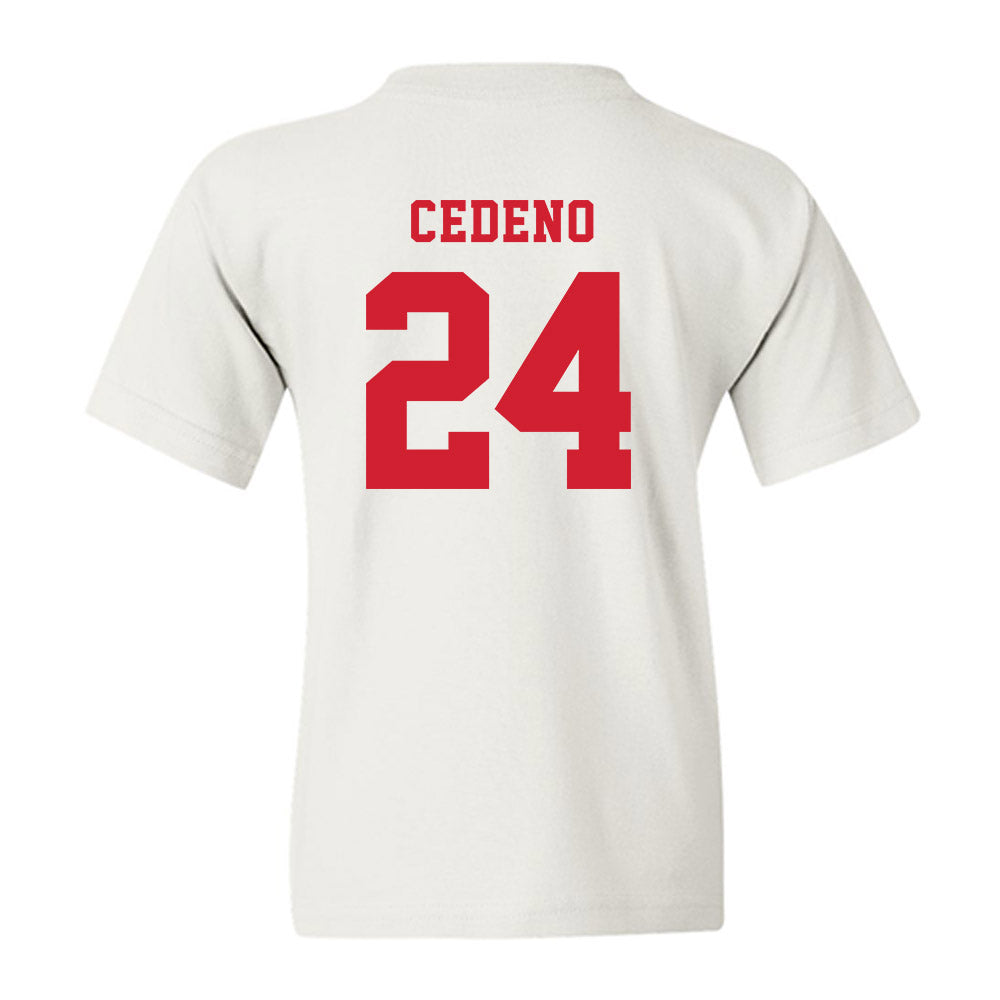 Marist - NCAA Baseball : Luis Cedeno - Classic Shersey Youth T-Shirt-1