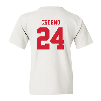 Marist - NCAA Baseball : Luis Cedeno - Classic Shersey Youth T-Shirt-1