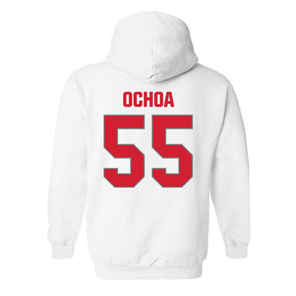 MSUM - NCAA Softball : Alyssa Ochoa - Hooded Sweatshirt-1