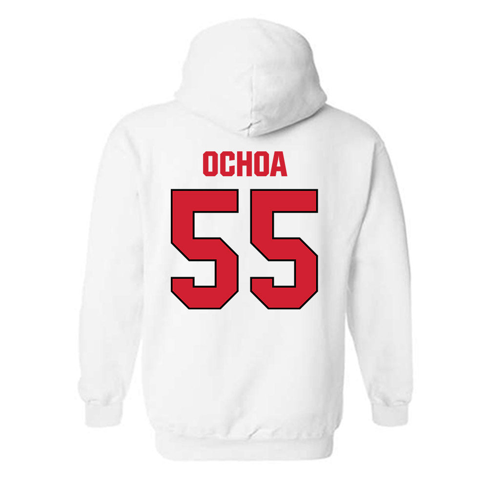 MSUM - NCAA Softball : Alyssa Ochoa - Hooded Sweatshirt-1