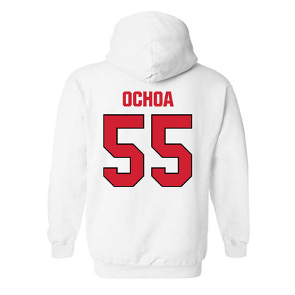 MSUM - NCAA Softball : Alyssa Ochoa - Hooded Sweatshirt-1