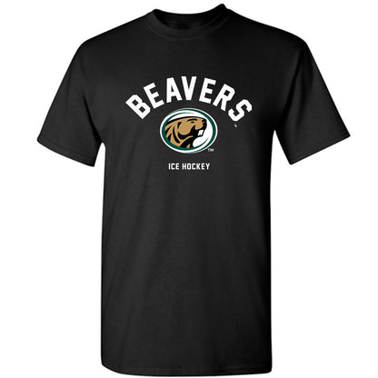 Bemidji State - NCAA Men's Ice Hockey : Kirklan Irey - T-Shirt-0