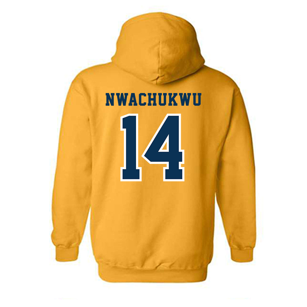 Coppin State - NCAA Women's Basketball : Princess Nwachukwu - Classic Shersey Hooded Sweatshirt-1