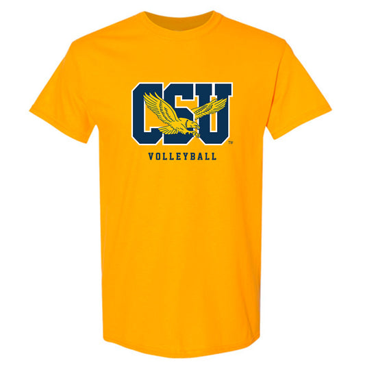 Coppin State - NCAA Women's Volleyball : Deviana Walker - Classic Shersey T-Shirt-0