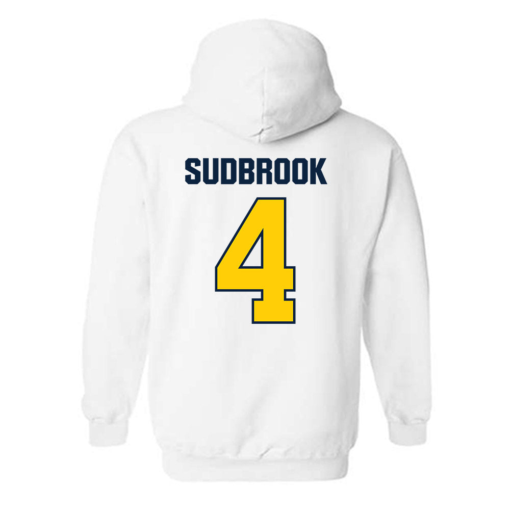 Toledo - NCAA Baseball : Ryan Sudbrook - Hooded Sweatshirt-1