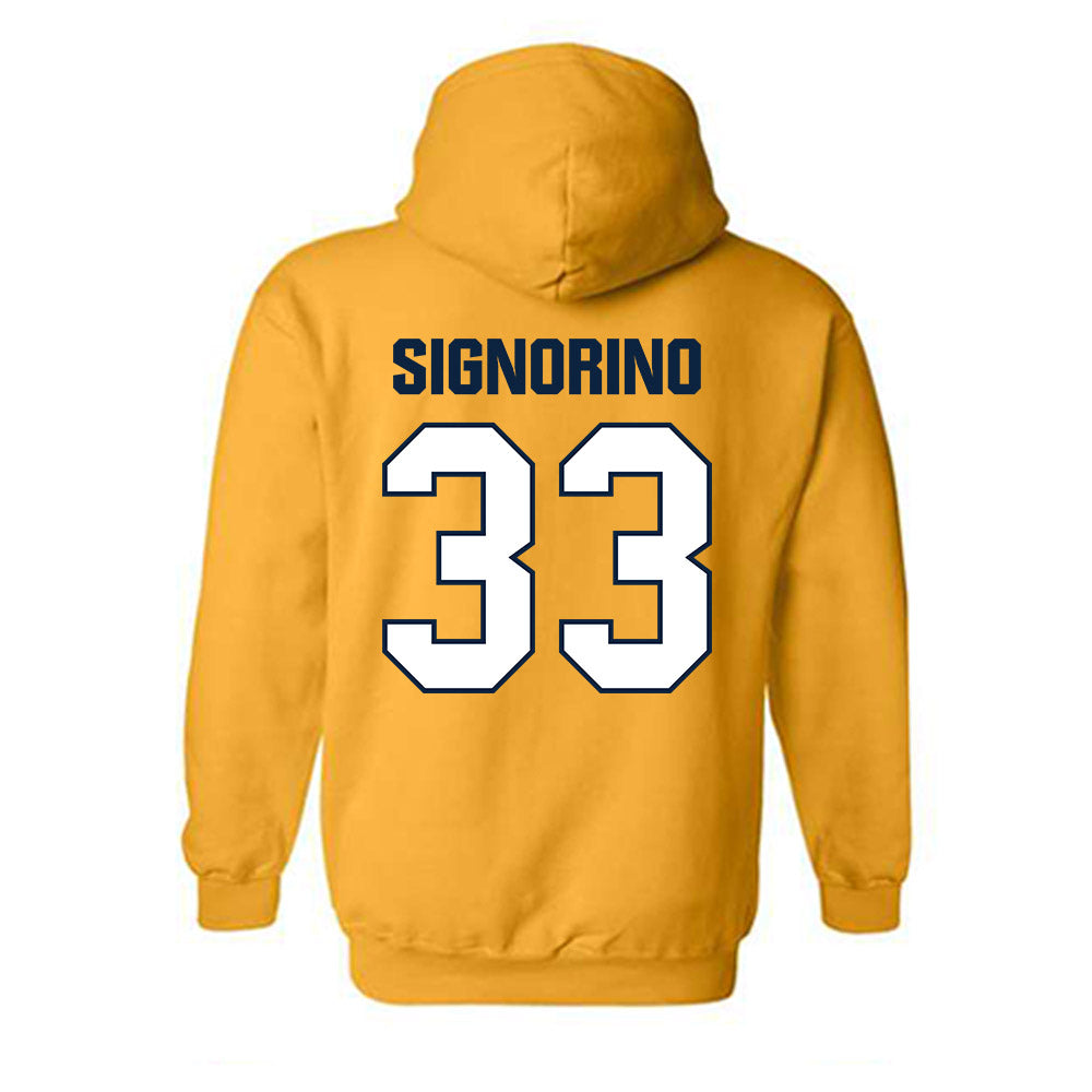 Toledo - NCAA Softball : Olivia Signorino - Hooded Sweatshirt-1