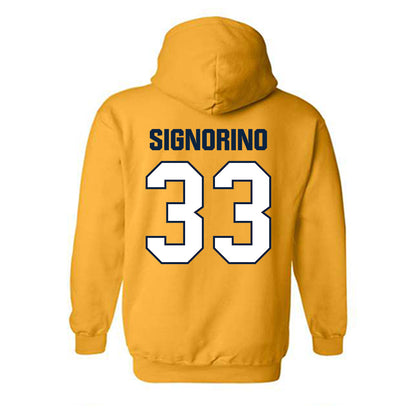 Toledo - NCAA Softball : Olivia Signorino - Hooded Sweatshirt-1