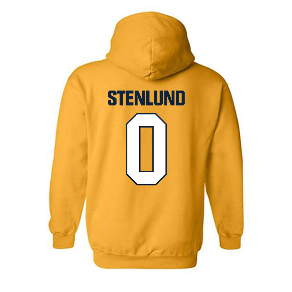 Toledo - NCAA Women's Soccer : Agnes Stenlund - Hooded Sweatshirt-1