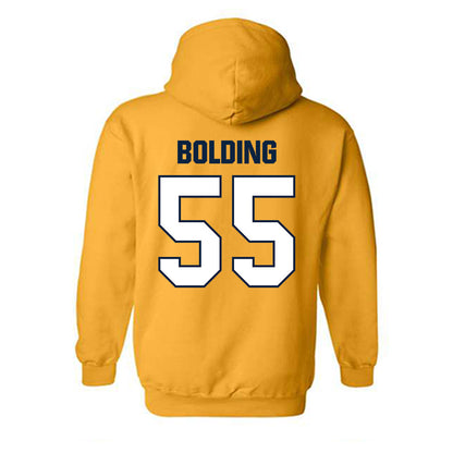 Toledo - NCAA Softball : Samantha Bolding - Hooded Sweatshirt-1