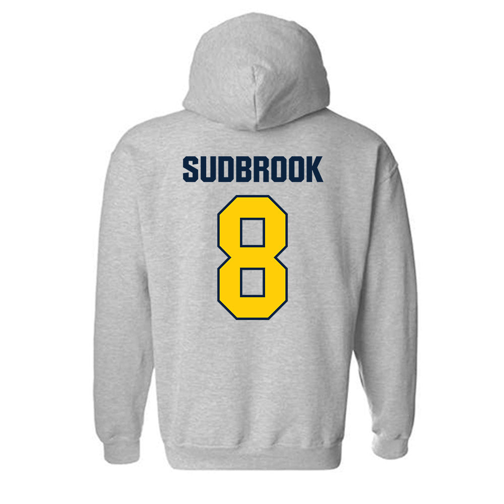 Toledo - NCAA Baseball : Troy Sudbrook - Hooded Sweatshirt-1