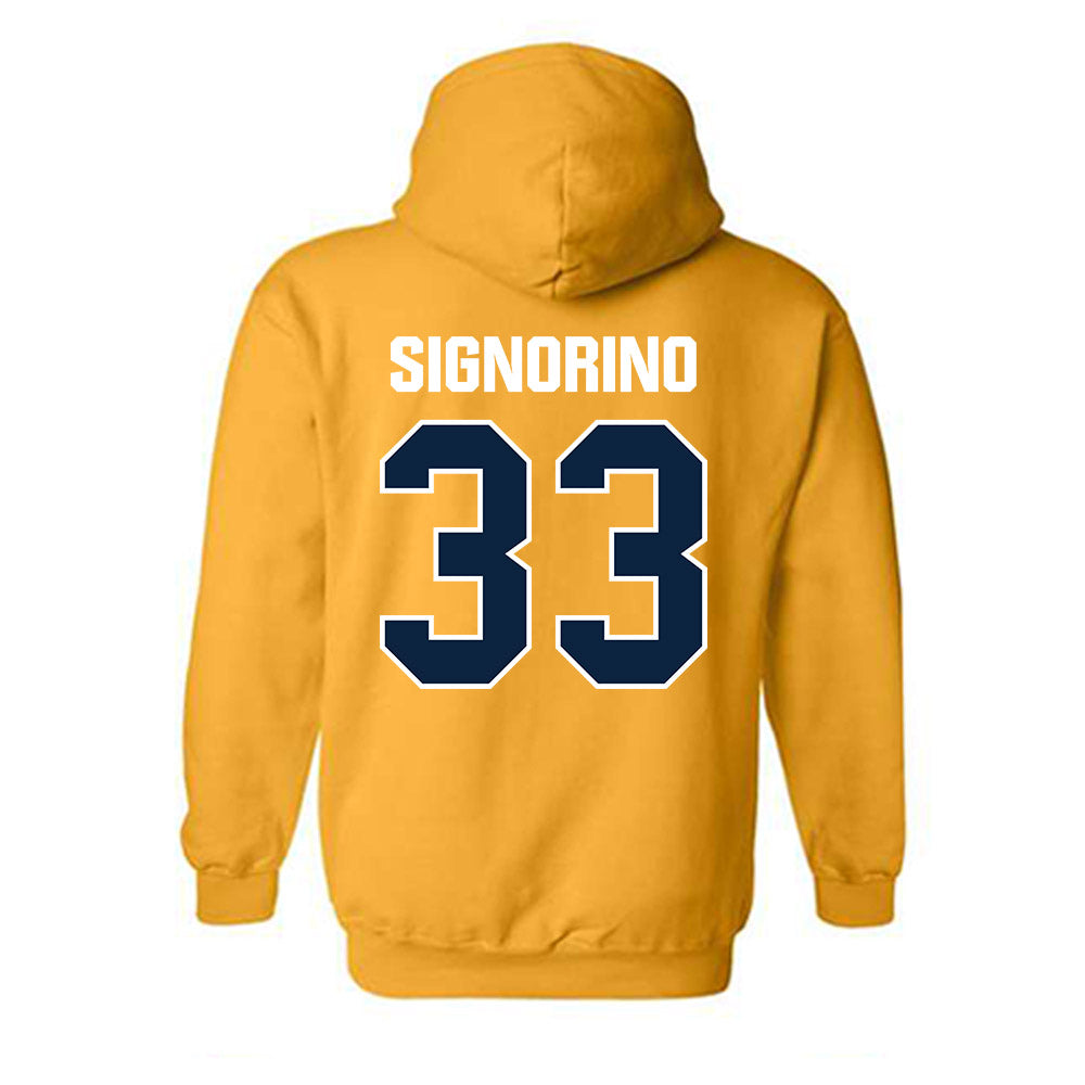 Toledo - NCAA Softball : Olivia Signorino - Hooded Sweatshirt-1