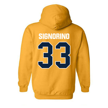 Toledo - NCAA Softball : Olivia Signorino - Hooded Sweatshirt-1