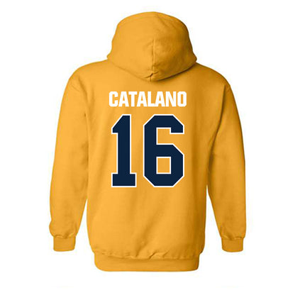 Toledo - NCAA Women's Volleyball : Sophie Catalano - Hooded Sweatshirt-1